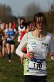 regx de cross 2008 517